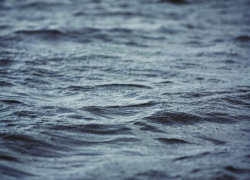 У Вогрэсовского моста в Воронеже нашли тело рыбака с тонометром на руке