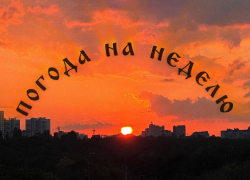 Идеальная неделя для Воронежа: что нам готовит погода?