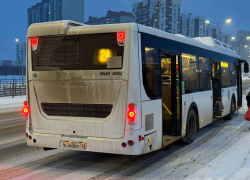 Сотрудники ГАИ взялись за проверку воронежских автобусов