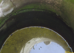 В Воронеже в подземных водах нашли нефтепродукты