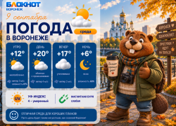 Лето и дожди: прогноз погоды в Воронеже