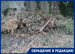 На беспорядок благоустраиваемой территории пожаловались воронежцы  