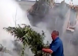 Уничтожение 20 тонн конопли под Воронежем попало на видео 