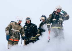 Первые лица региона поздравляют воронежцев с Днем спасателя