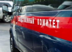 Смертью двухмесячной малышки занялись следователи в Воронеже