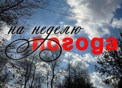 Как испортить настроение воронежцам на 7 дней: прогноз погоды