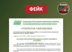 Воронежских аграриев втянули в фейковую войну с ограничениями на топливо