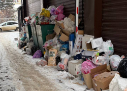 Мусорный «самострой» появляется в центре Воронежа