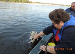 Опубликованы фото разлива нефтепродуктов на реках под Воронежем