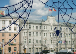 Член Общественной палаты призывал мэрию Воронежа освободиться из сетей «пауков-строителей» Магеррамовых