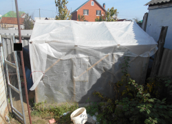 В Воронеже житель Левого берега выращивал коноплю в теплице