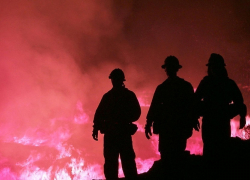 В Воронежской области ожидается опасное метеорологическое явление: пятый класс пожарной опасности