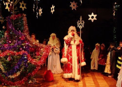 Куда в Воронеже сводить ребенка на новогодние праздники (Программа)