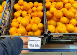 ФАС призвала сети супермаркетов к «добросовестности» перед новогодним ажиотажем 