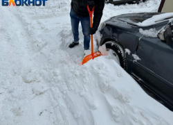 Министр призвал воронежцев взяться за лопаты