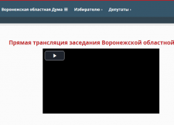 Черный квадрат Нетёсова показали воронежцам 