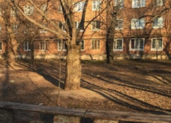 Массовое убийство во дворе дома пытался устроить житель Воронежа