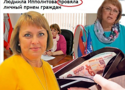 Воронежская педиатр-«единоросс» Ипполитова в политике не богатеет, а плодит казусы