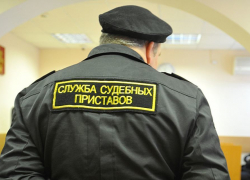 Из-за мужа должника женщина лишилась земельных участков в Воронежской области