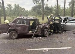 Два пожилых человека скончались на месте в ДТП в Воронежской области