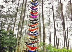 В Воронеже хотят установить гамак-парк и побить рекорд в России