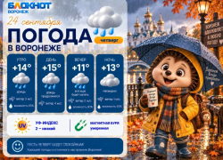 Пора собирать гербарий: прогноз погоды в Воронеже