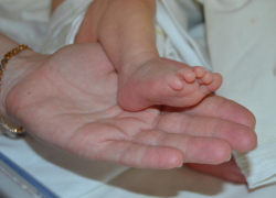 В Воронеже в перинатальном центре пройдет праздник «Белые лепестки» 