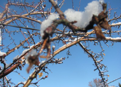 Возвращение морозов с последующим потеплением ожидается на неделе в Воронеже