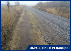 Абсурдный ремонт дороги показали на фото в Воронежской области 