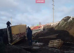 Груженная консервами фура врезалась в автобус на трассе М-4 «Дон» под Воронежем и попала на видео