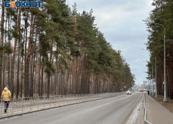  Названы причины плохих дорог в воронежских селах 