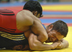 Спорткомплекс с борцовским залом спроектируют за 10,8 млн рублей в Воронеже