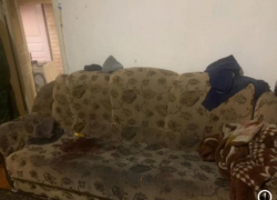 Воронежец выжил после удара топором в гостях 