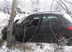 Ростовчанка протаранила дерево на набережной Воронежа