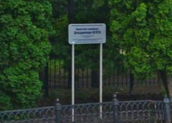 52 года назад дендропарк Воронежского «лестеха» признали памятником природы