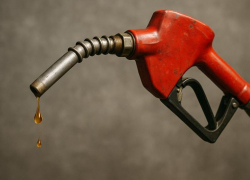 Очередной фейк про топливо и Гусева развеяли в Воронежской области