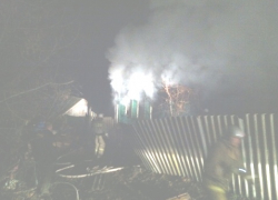 В Воронежской области на пожаре погибла женщина и ее 4-летняя дочь 