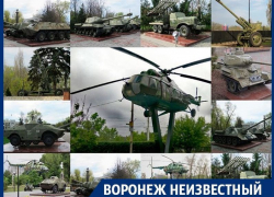 Какая гордость России расположена в воронежском левобережье