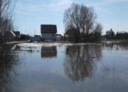 Тело пропавшего воронежца нашли в воде