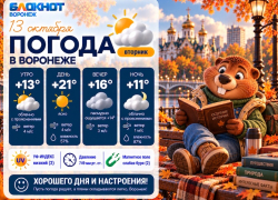 Солнышко спряталось: прогноз погоды в Воронеже