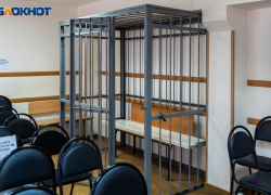 За избиение полицейского подросток отделался штрафом в Воронежской области