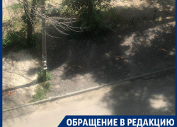 Парковка для избранных удивила москвичей в Воронеже