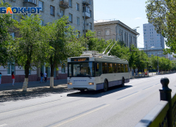 Названа причина приостановки троллейбуса № 33 в Воронеже