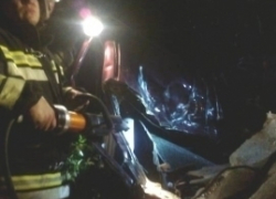 Три человека стали жертвами столкновения ВАЗов на воронежской трассе