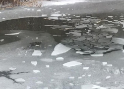 Подробности смерти утонувшего в реке мальчика рассказали следователи в Воронеже