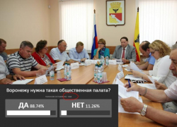 Аномальное голосование прошло в поддержку ОП в Воронеже