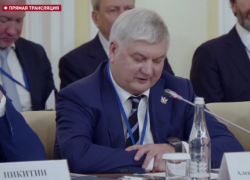 Посольство Беларуси откроется в Воронежской области – губернатор Гусев 