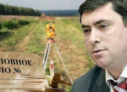 В зеленый «огород» вокруг Воронежа пустили Максима Увайдова