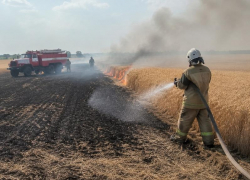 Пламя уничтожило 2 гектара пшеничного поля в Воронежской области