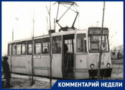 Убийц муниципального транспорта назвала экс-депутат Воронежской гордумы